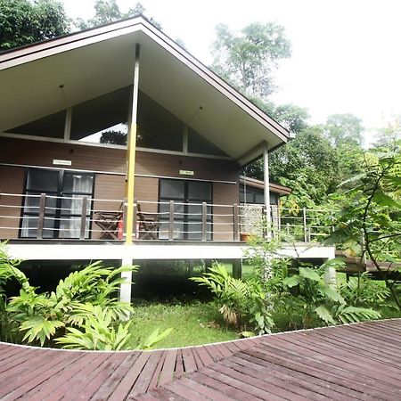 Hotel Mulu National Park Exteriér fotografie