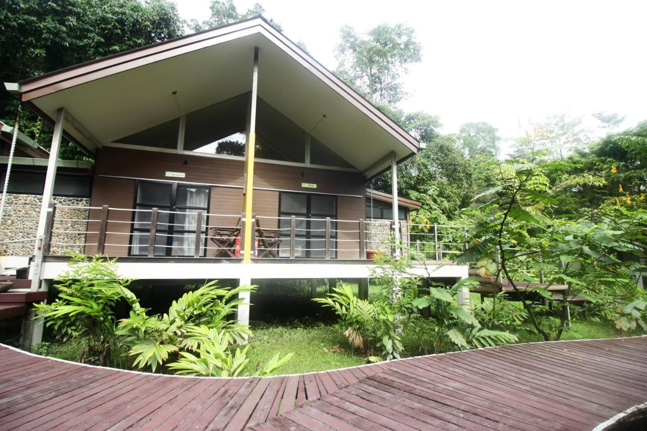 Hotel Mulu National Park Exteriér fotografie