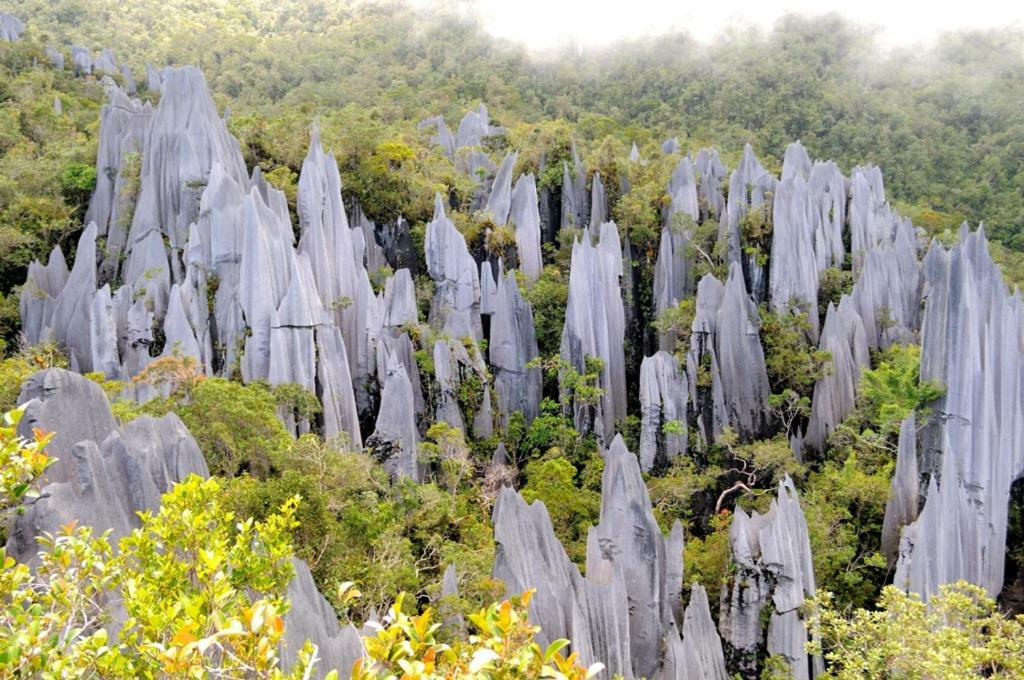 Hotel Mulu National Park Exteriér fotografie