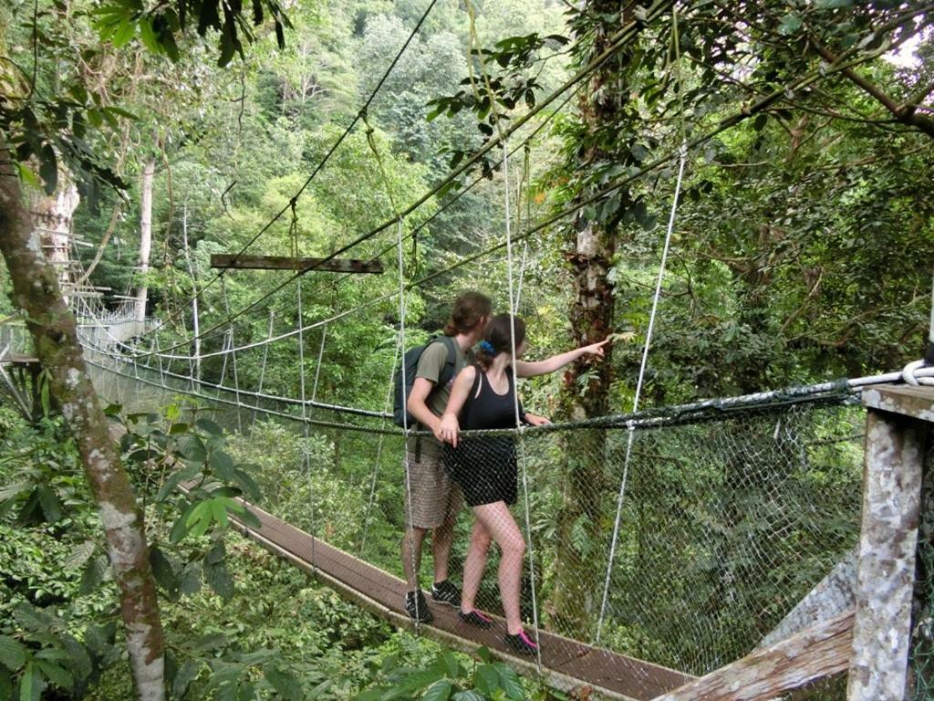 Hotel Mulu National Park Exteriér fotografie