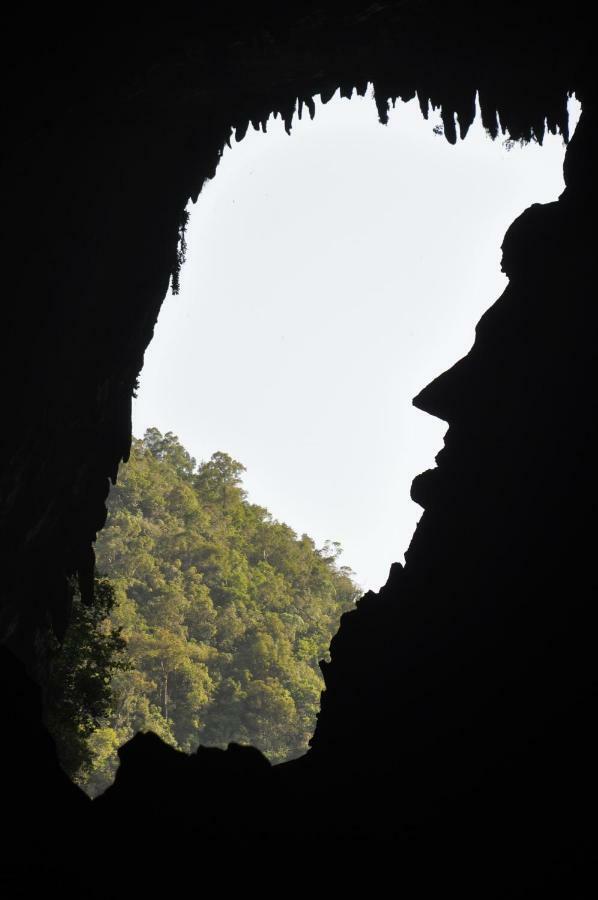 Hotel Mulu National Park Exteriér fotografie